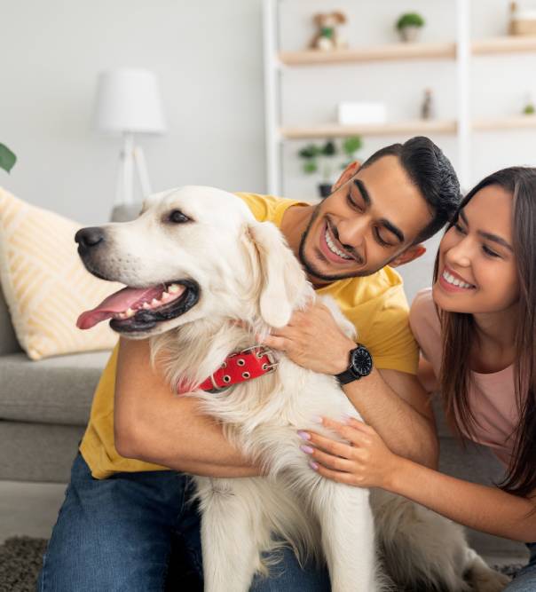 The Science Behind Your Dog's Gut Health: Why Probiotics Matter More Than You Think